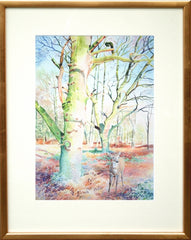 Deer In Woods Framed