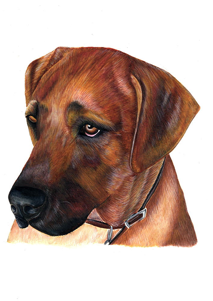 Devoted Friend Unframed