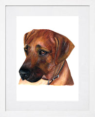 Devoted Friend White Frame