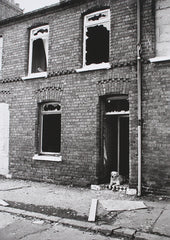 Digital Print - Dog House 1988