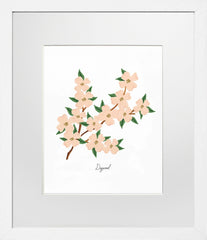 Dogwood White Frame