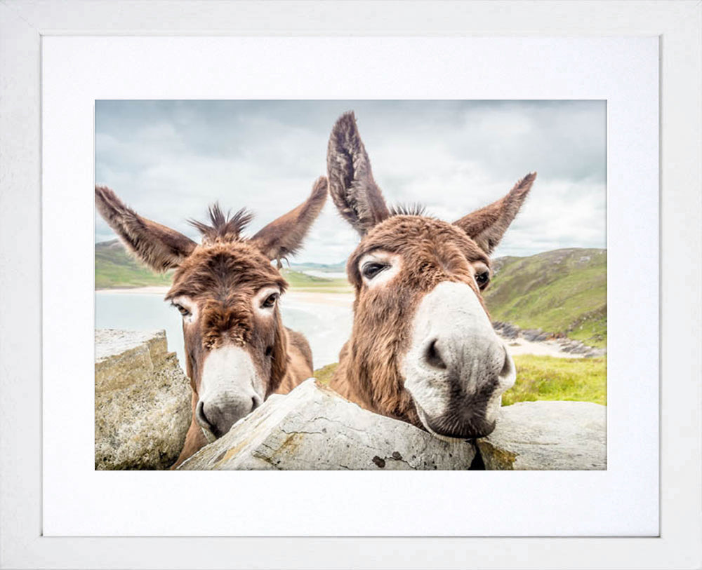 Donegal Donkeys Frame White
