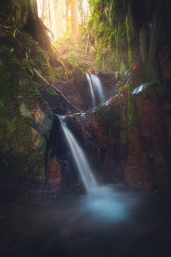 Doorstep Paradise, Redburn Forest Unframed