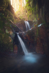 Doorstep Paradise, Redburn Forest Unframed