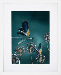 Dragonfly-19 x 27.5-White Box Frame (With Mount)