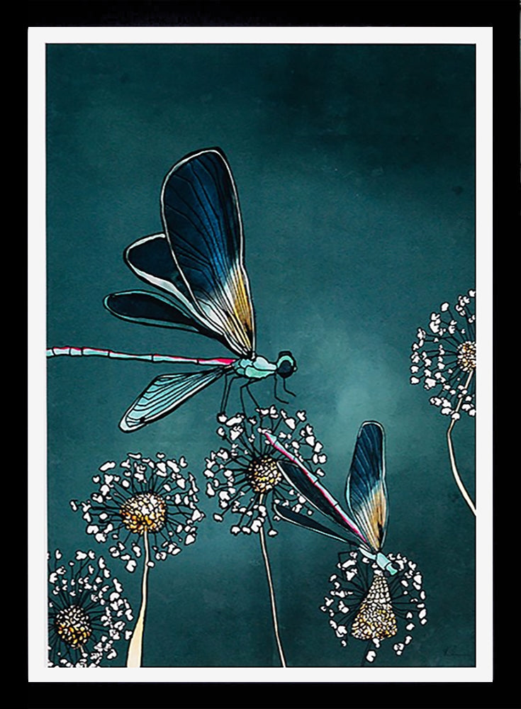 Dragonfly-33 x 55.5-Black Box Frame (No Mount)