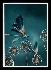Dragonfly-33 x 55.5-Black Box Frame (No Mount)