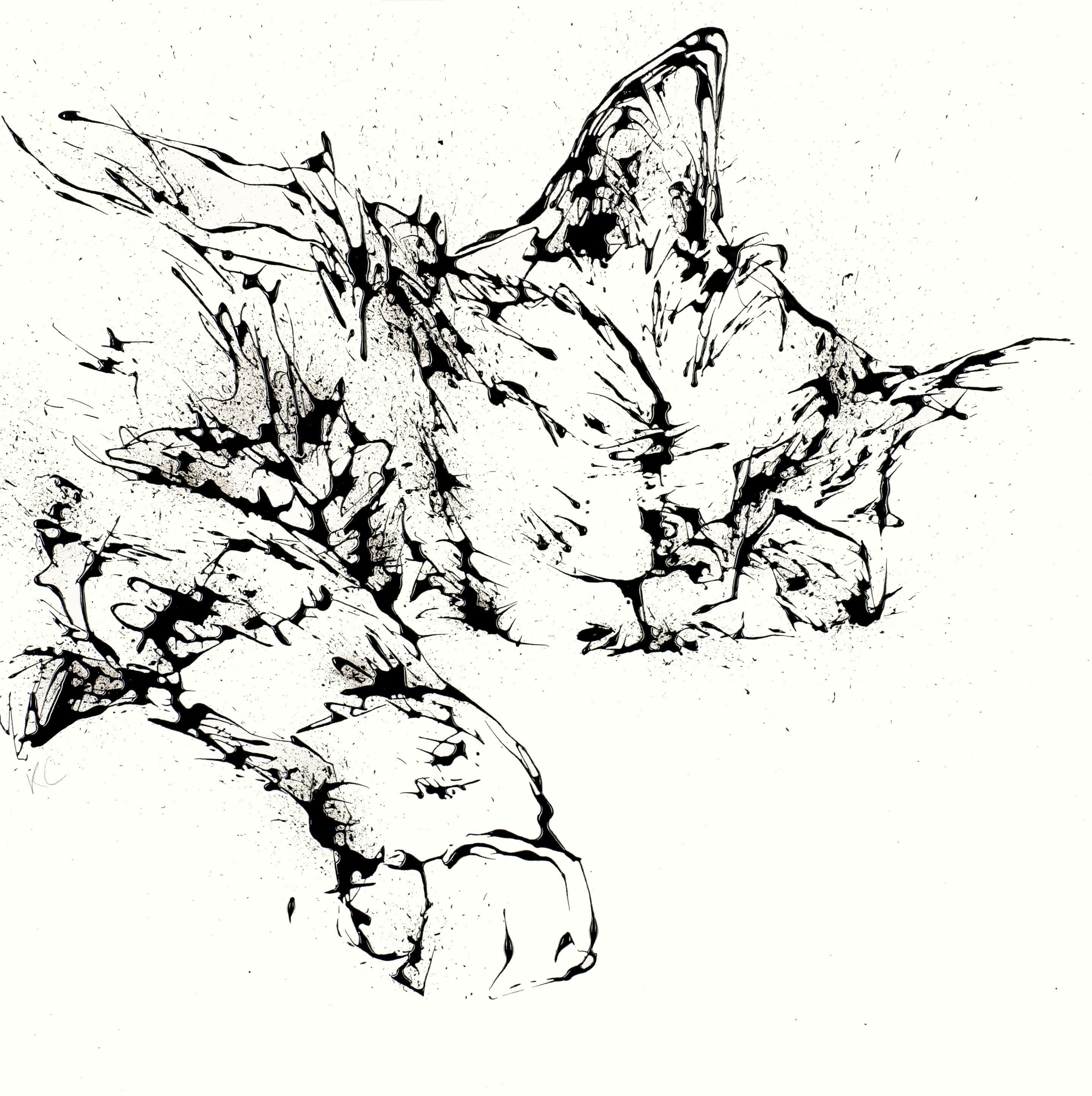 Print Open Edition Animals - Dreamer -30 x 30-Unframed