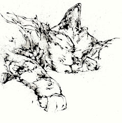 Print Open Edition Animals - Dreamer -30 x 30-Unframed