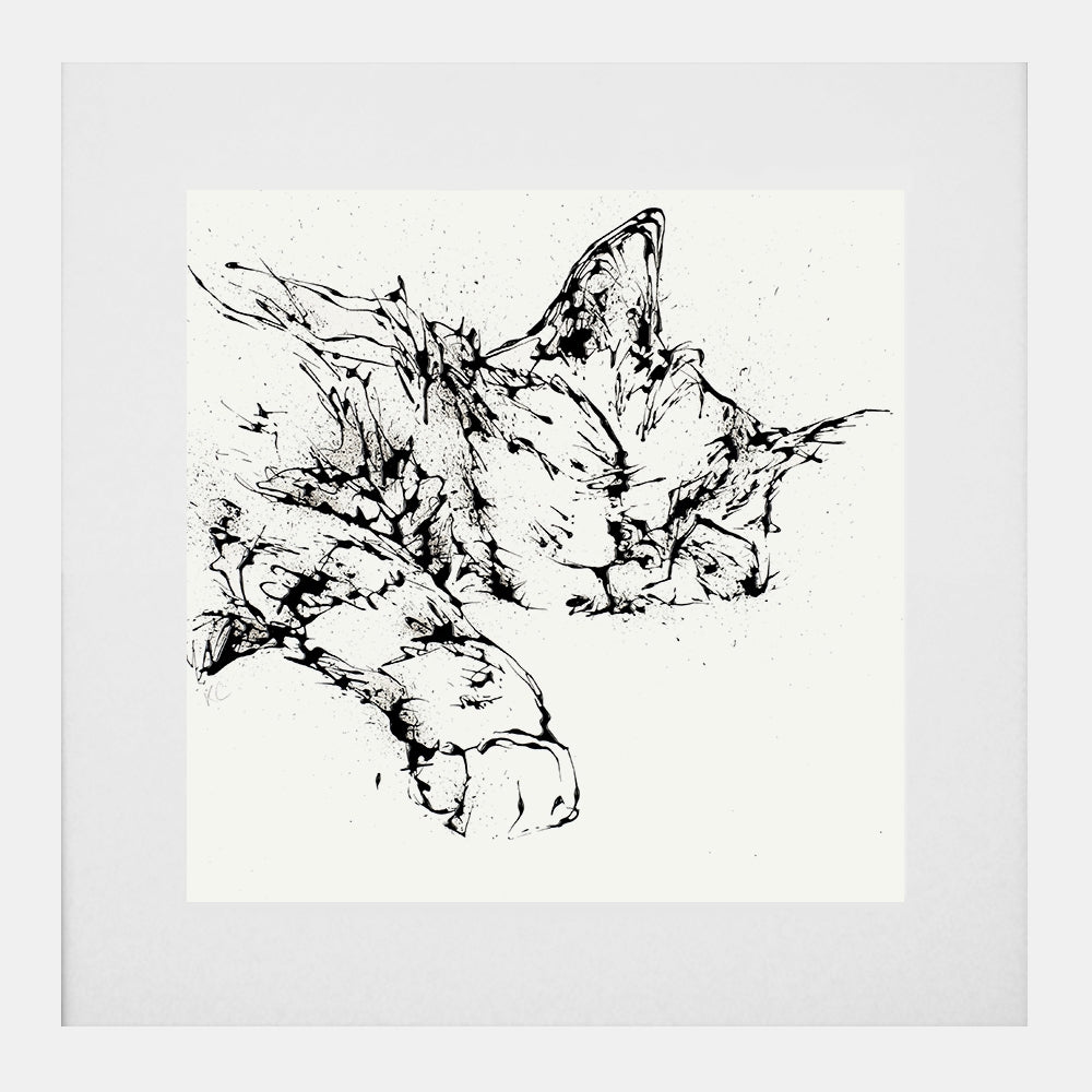 Print Open Edition Animals - Dreamer -30 x 30-White Box Frame (With Mount)