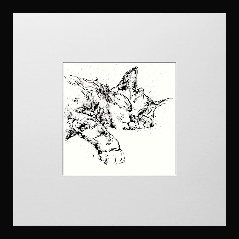 Print Open Edition Animals - Dreamer -12 x 12-Small Flat Black Frame