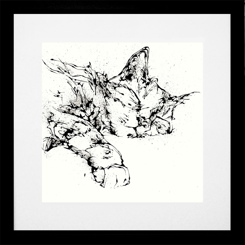 Print Open Edition Animals - Dreamer -30 x 30-Black Box Frame (With Mount)