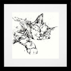 Print Open Edition Animals - Dreamer -30 x 30-Black Box Frame (With Mount)