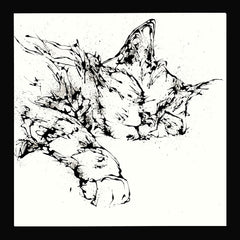 Print Open Edition Animals - Dreamer -30 x 30-Black Box Frame (No Mount)