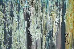 Early Morning Coastline