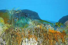 Early Morning Coastline