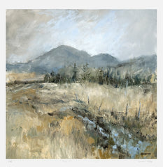 Print - Early Morning Stillness, Mournes Unframed