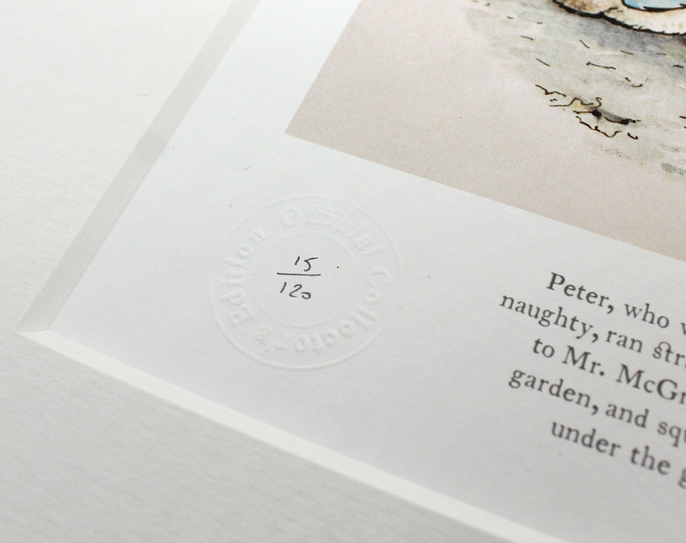 Peter Rabbit - Peter Let the Handkerchief Go