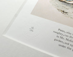 Peter Rabbit - Little Benjamin Said