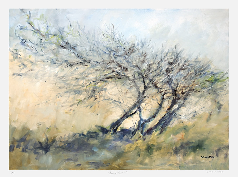 Print - Fairy Thorn Unframed