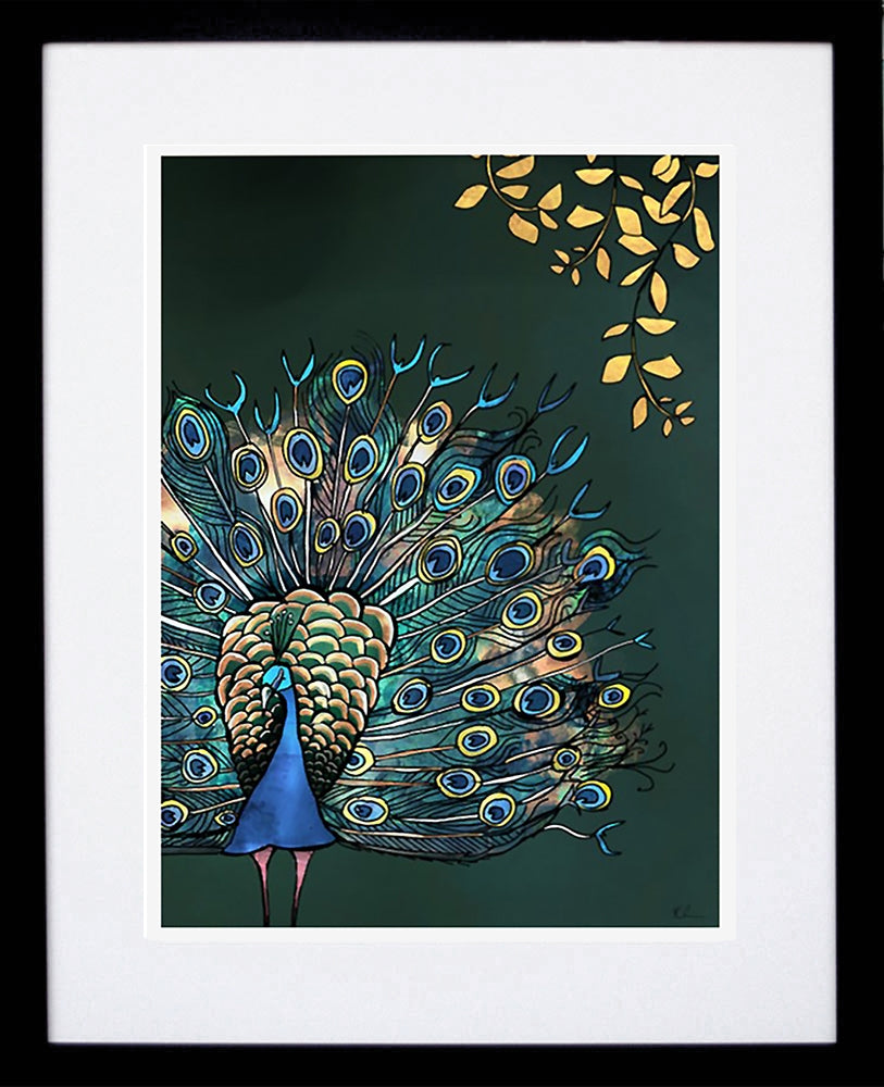 Fantail Peacock-19 x 27.5-Black Box Frame (With Mount)