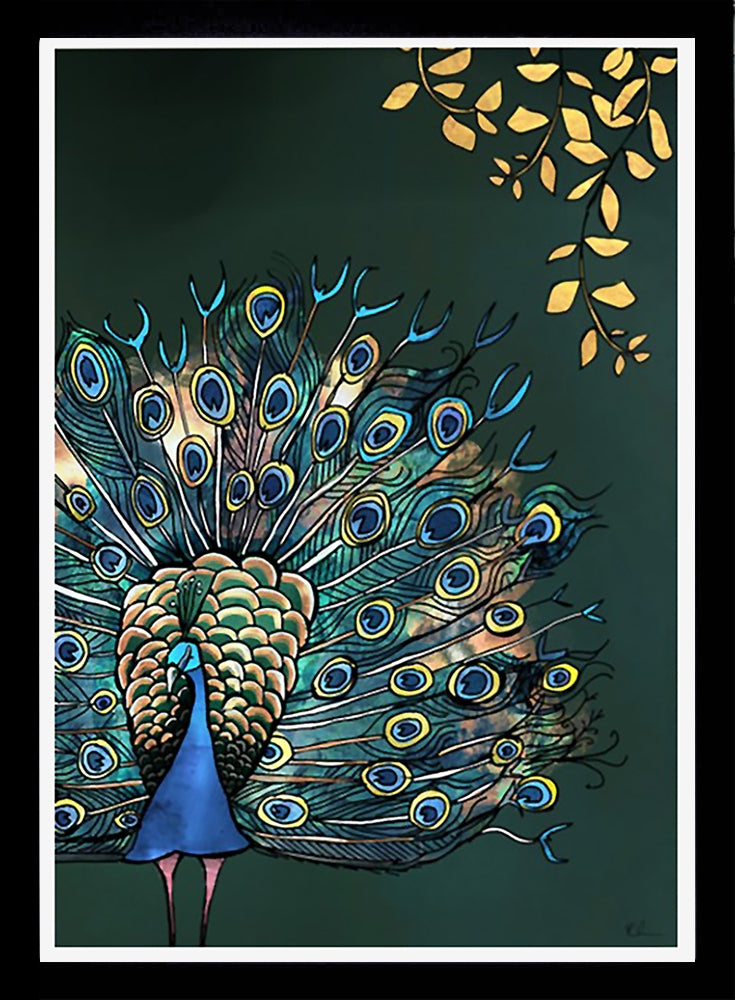 Fantail Peacock-33 x 55.5-Black Box Frame (No Mount)