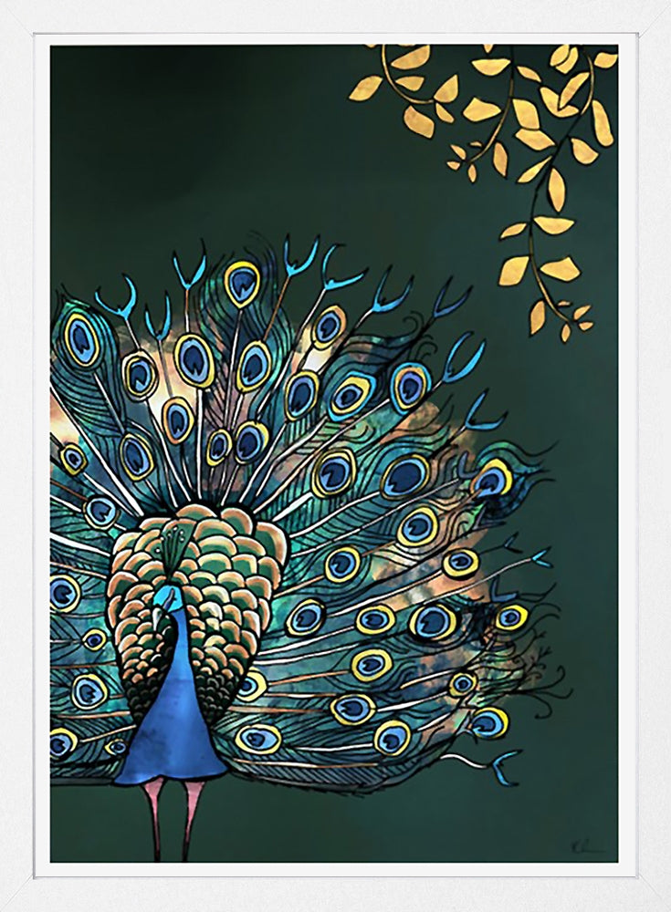 Fantail Peacock-33 x 55.5-White Box Frame (No Mount)