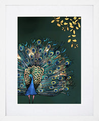 Fantail Peacock-19 x 27.5-White Box Frame (With Mount)