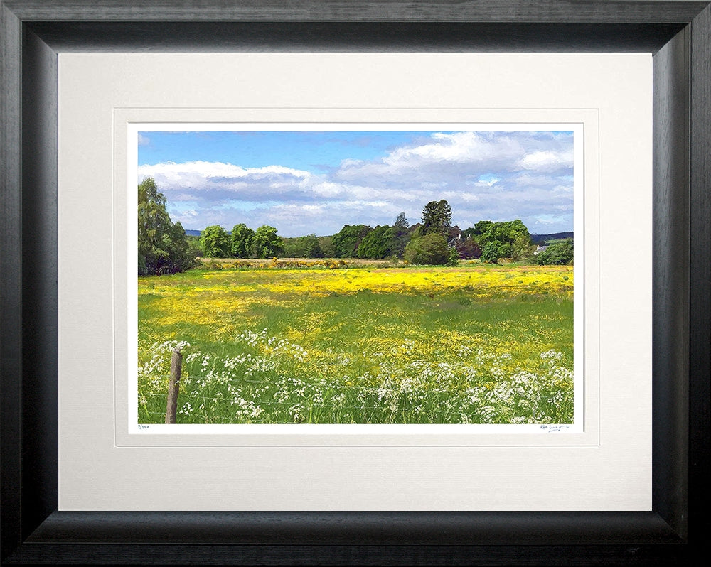 Other - Fields Of Summer Chunky Black Frame