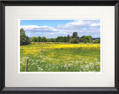 Other - Fields Of Summer Black Bevelled Frame