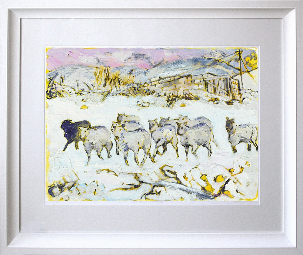 Flock of Sheep Horn Head Framed