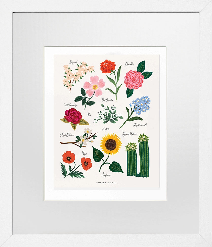 Florals of the United - White Box Frame