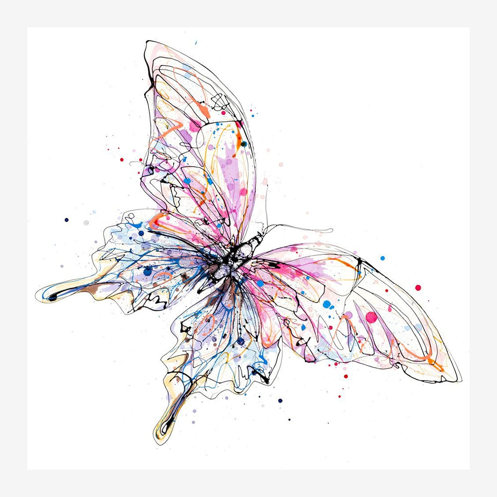 Print Open Edition Animals - Flutterfly-30 x 30-White Box Frame (No Mount)