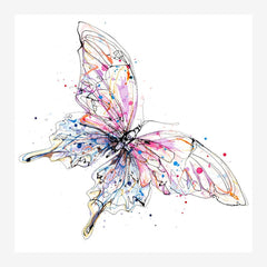 Print Open Edition Animals - Flutterfly-30 x 30-White Box Frame (No Mount)