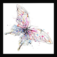 Print Open Edition Animals - Flutterfly-30 x 30-Black Box Frame (No Mount)