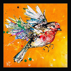 Print Open Edition Animals - Fly High-30 x 30-Black Box Frame (No Mount)