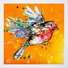 Print Open Edition Animals - Fly High-30 x 30-White Box Frame (No Mount)