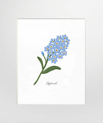 Forget-Me-Not - Unframed