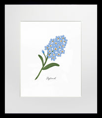 Forget-Me-Not - Black Box Frame