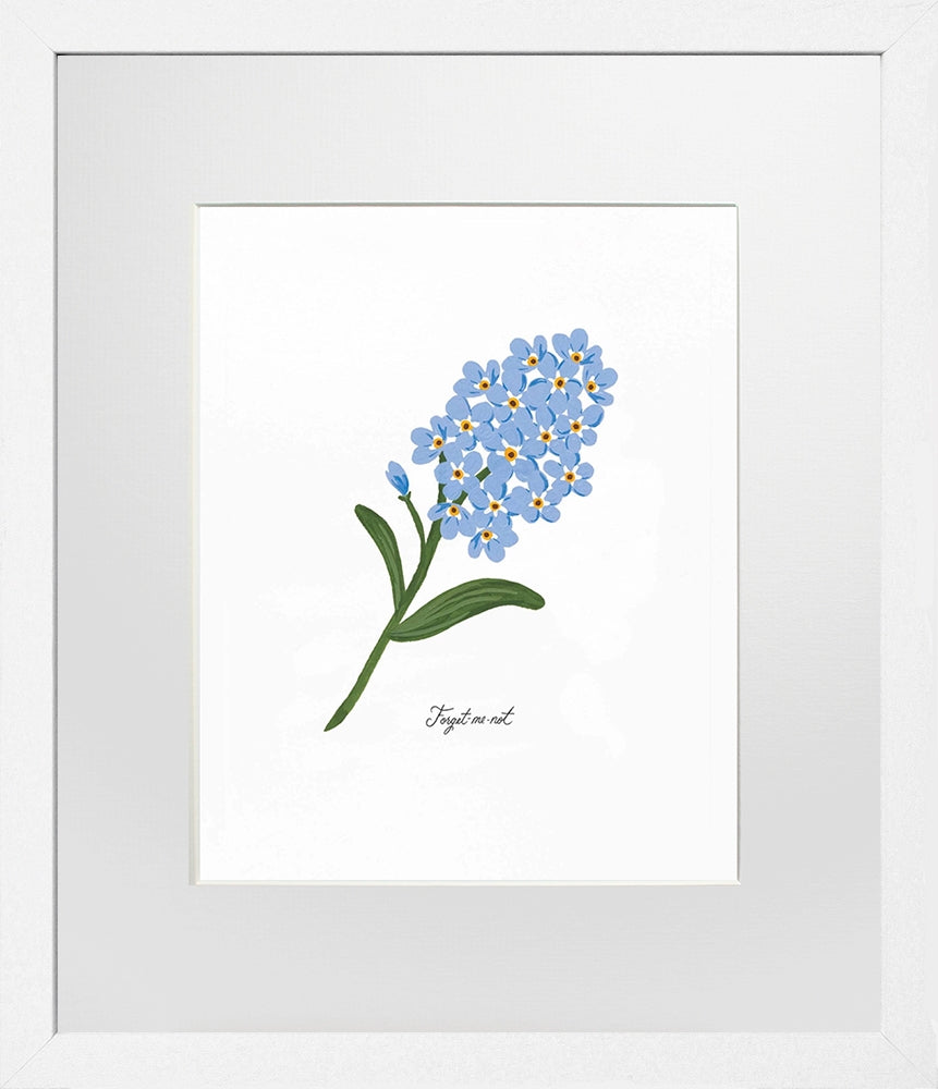 Forget-Me-Not - White Box Frame