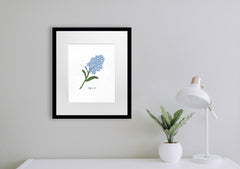 Forget-Me-Not