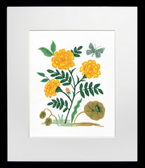 French Marigold Black Frame