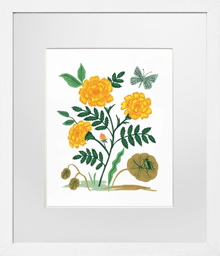 French Marigold White Frame