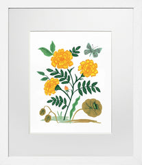 French Marigold White Frame
