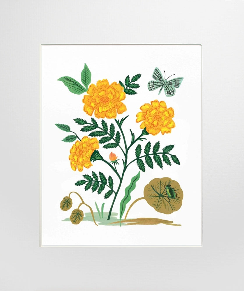 French Marigold Unframed