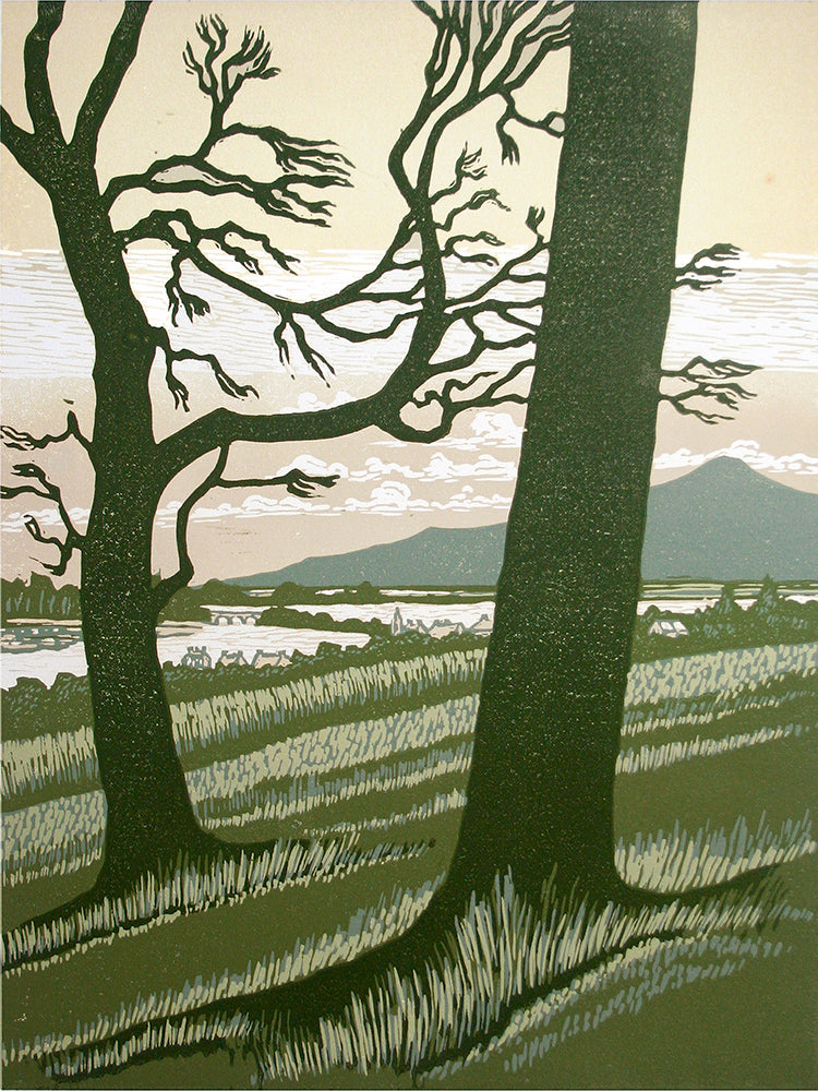 Linocut Print - Co Down From Dundrum Castle