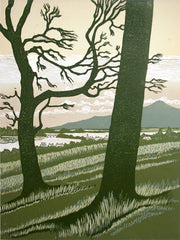 Linocut Print - Co Down From Dundrum Castle