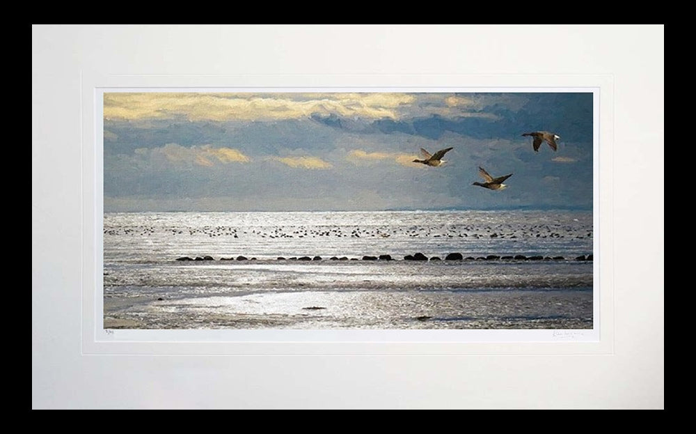 Co Down - Gold and Silver Strangford Lough Flat Black Frame