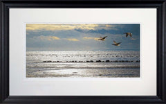 Co Down - Gold and Silver Strangford Lough Frame Black Moulded 60x47.5