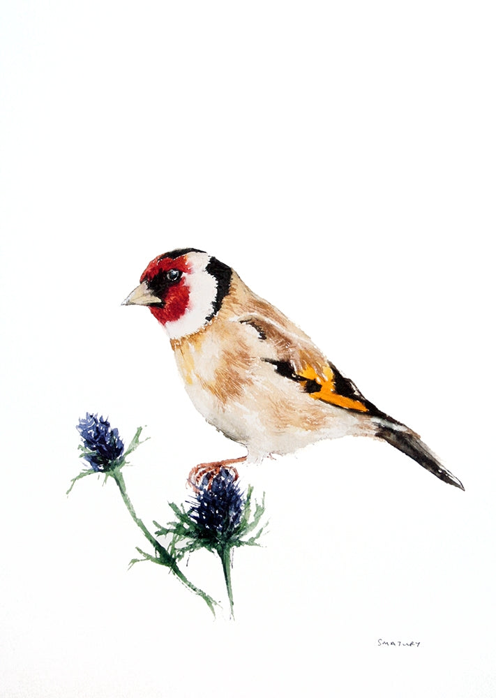 Animals Bird - Goldfinch Unframed